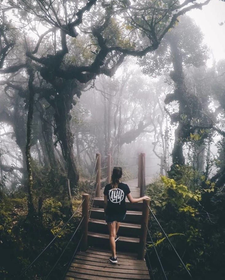 Screenshot-2022-09-28-172824