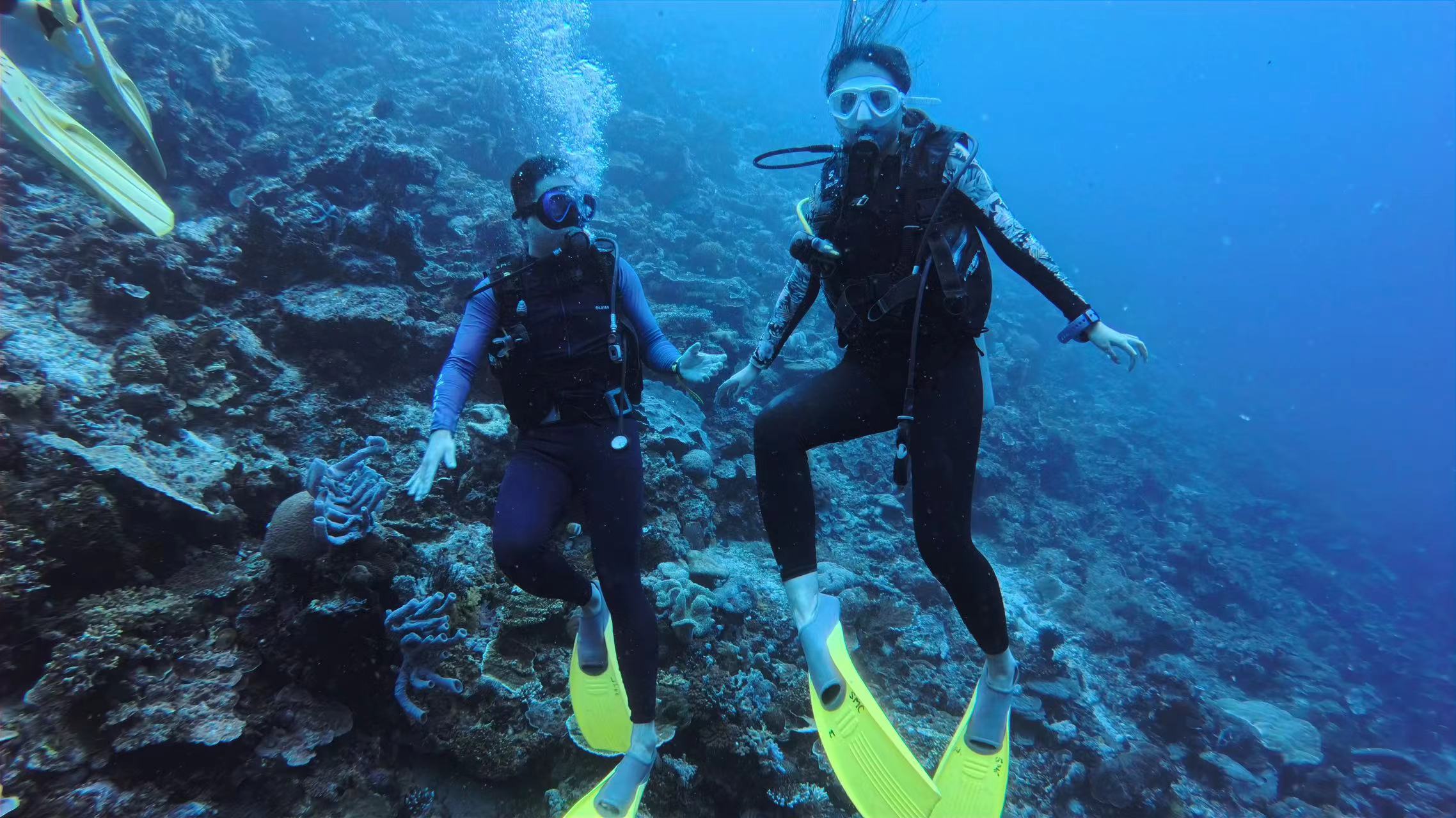 微信图片_20250219135841